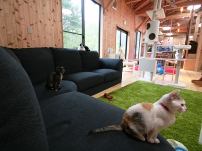 Pet Animal World(PAW)｜長崎バイオパーク