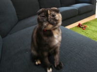 Pet Animal World(PAW)｜長崎バイオパーク