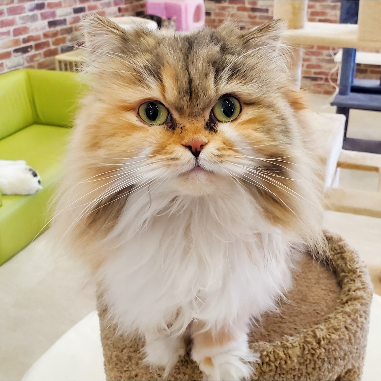 だっこして！ZOO！ （箱根園動物ランド）