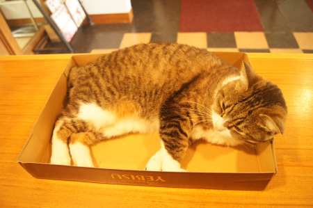 伊豆熱川・オーベルジュ はせべ