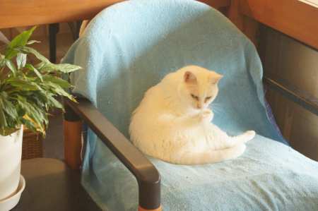 伊豆熱川・オーベルジュ はせべ