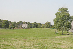 大井ふ頭中央海浜公園