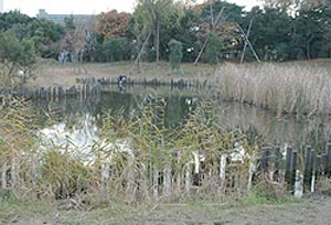 大井ふ頭中央海浜公園