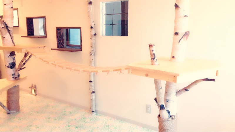 札幌保護猫シェルター＆福祉運営カフェmataｘtabi