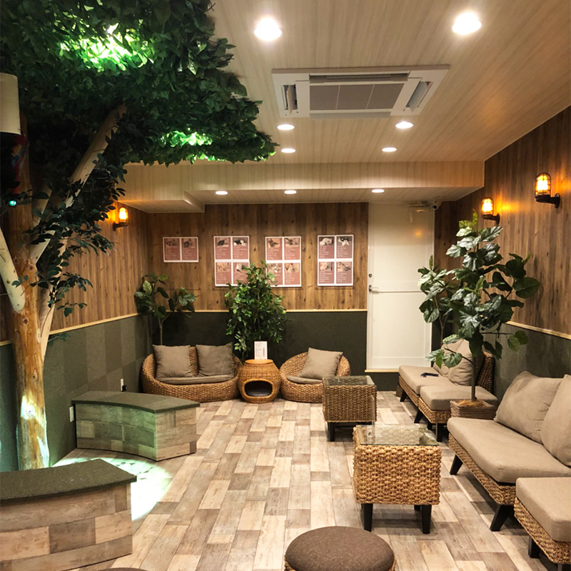 猫喫茶 空陸家plus高円寺ジャングル店